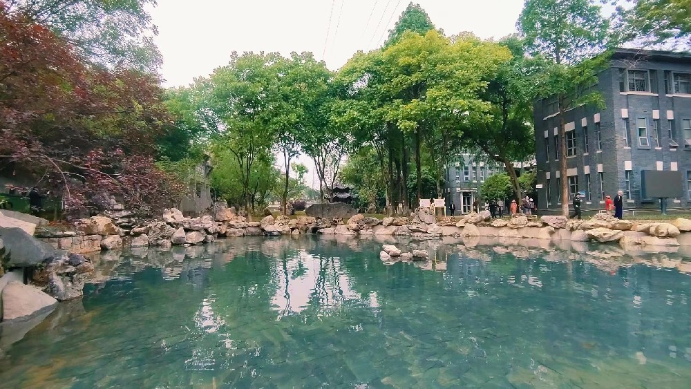 温州墨池公园绿化项目